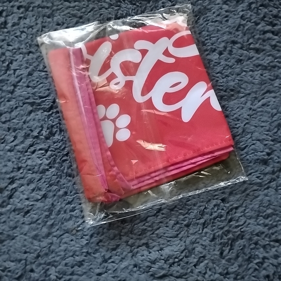 Big Sister Dog Bandana - Pink Red 2pack - Picture 4 of 5